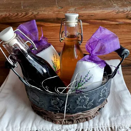 Holiday home Zollhaus Nad Zalewem Mietkowskim